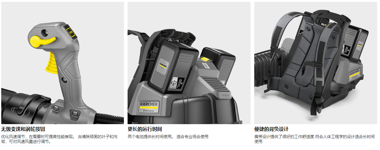 LBB 1060/36 Bp 吹风机(图1)